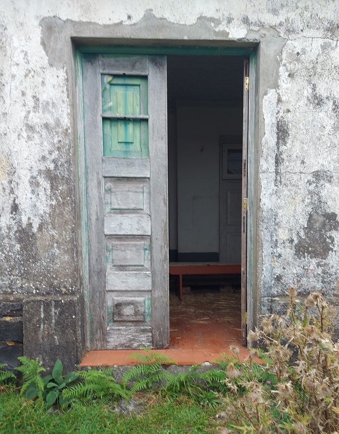 Madeira - Chao das Feiteiras - 2022